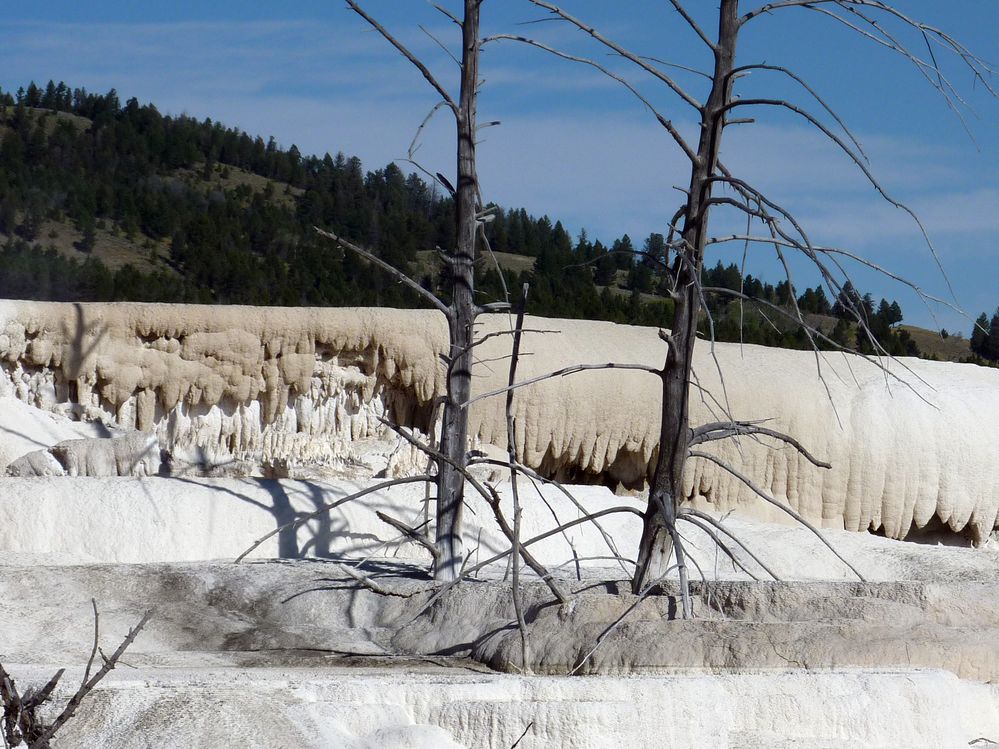 Yellowstone Mammoth Hotsprings (70).JPG